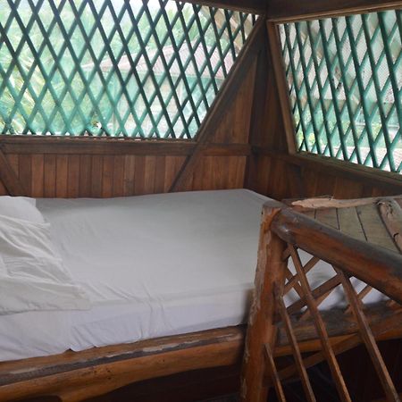 Hotel Puerto Viejo Puerto Viejo de Talamanca Εξωτερικό φωτογραφία