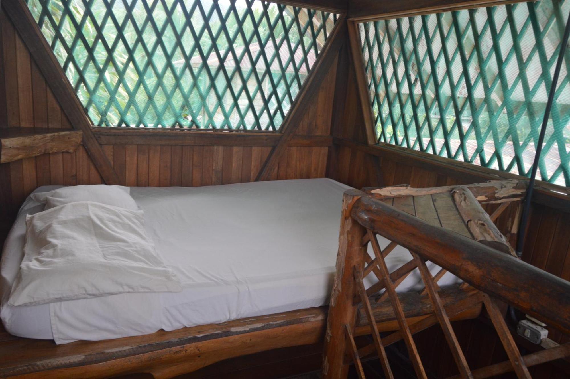 Hotel Puerto Viejo Puerto Viejo de Talamanca Εξωτερικό φωτογραφία