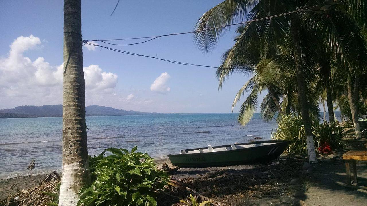 Hotel Puerto Viejo Puerto Viejo de Talamanca Εξωτερικό φωτογραφία