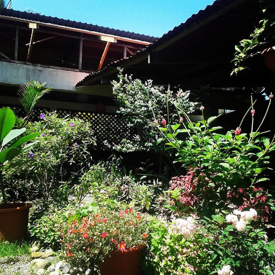 Hotel Puerto Viejo Puerto Viejo de Talamanca Εξωτερικό φωτογραφία